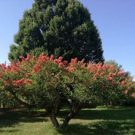 B&B Villa Napoli Battipaglia Eksteriør billede