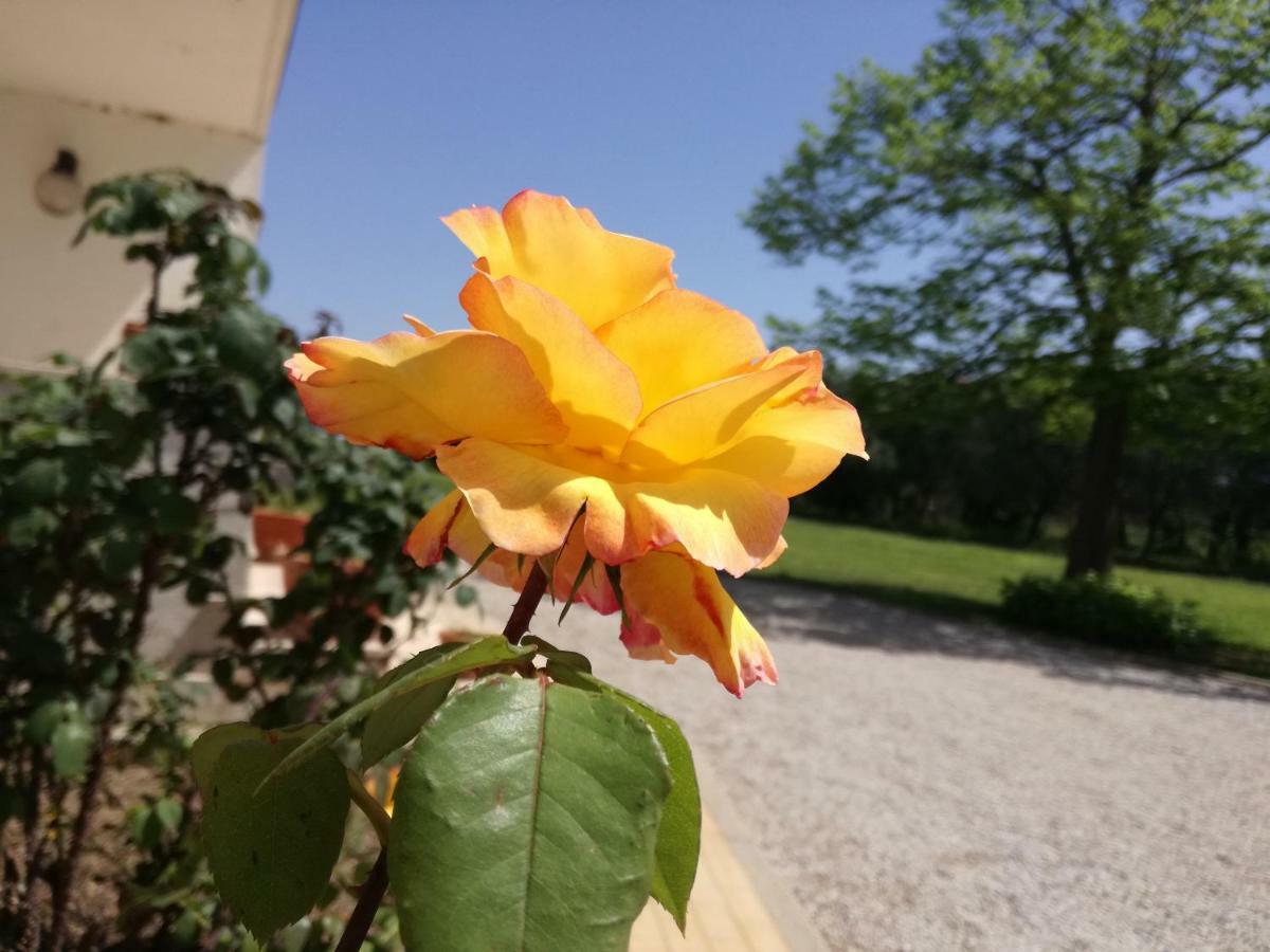 B&B Villa Napoli Battipaglia Eksteriør billede