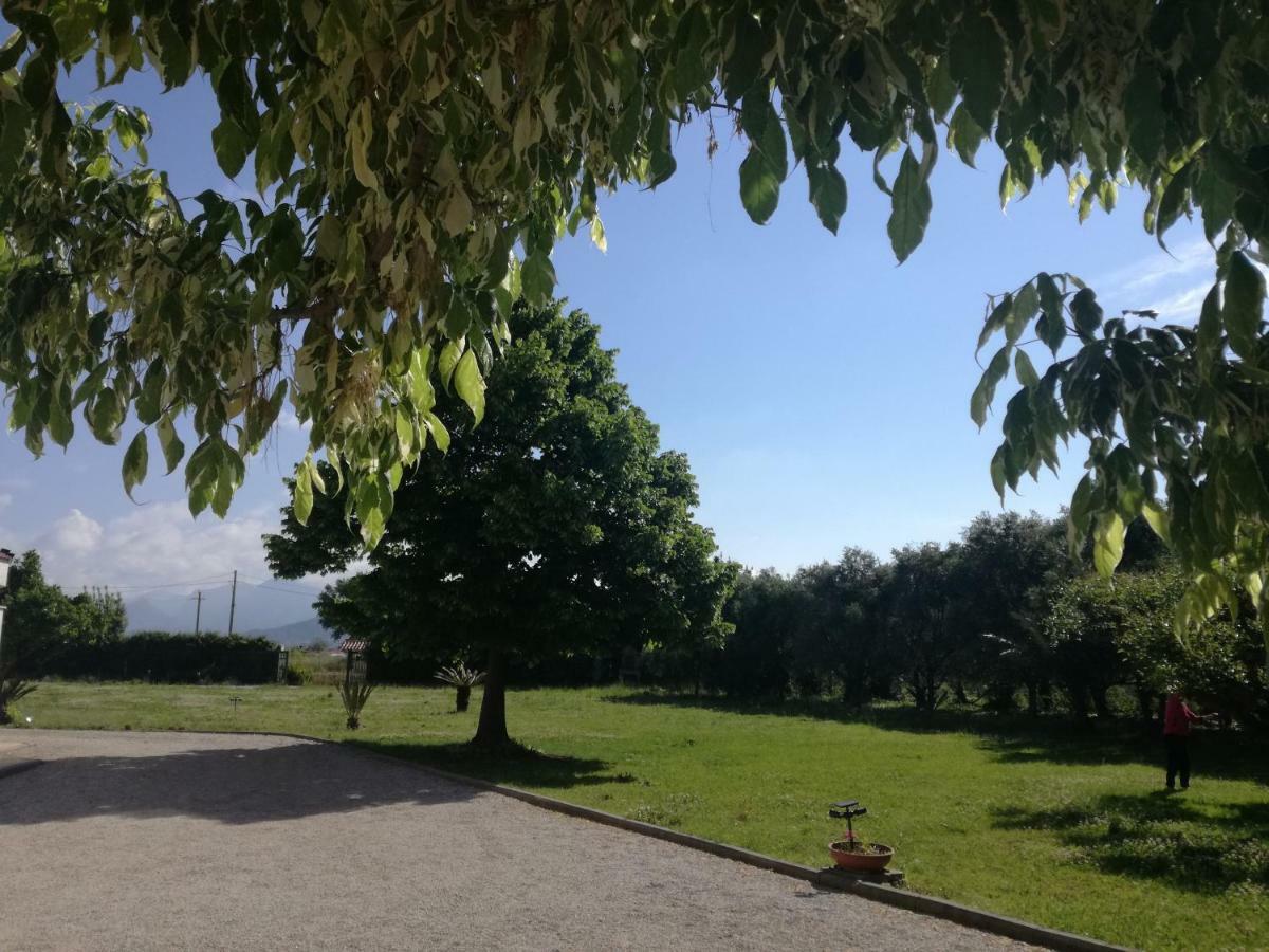 B&B Villa Napoli Battipaglia Eksteriør billede
