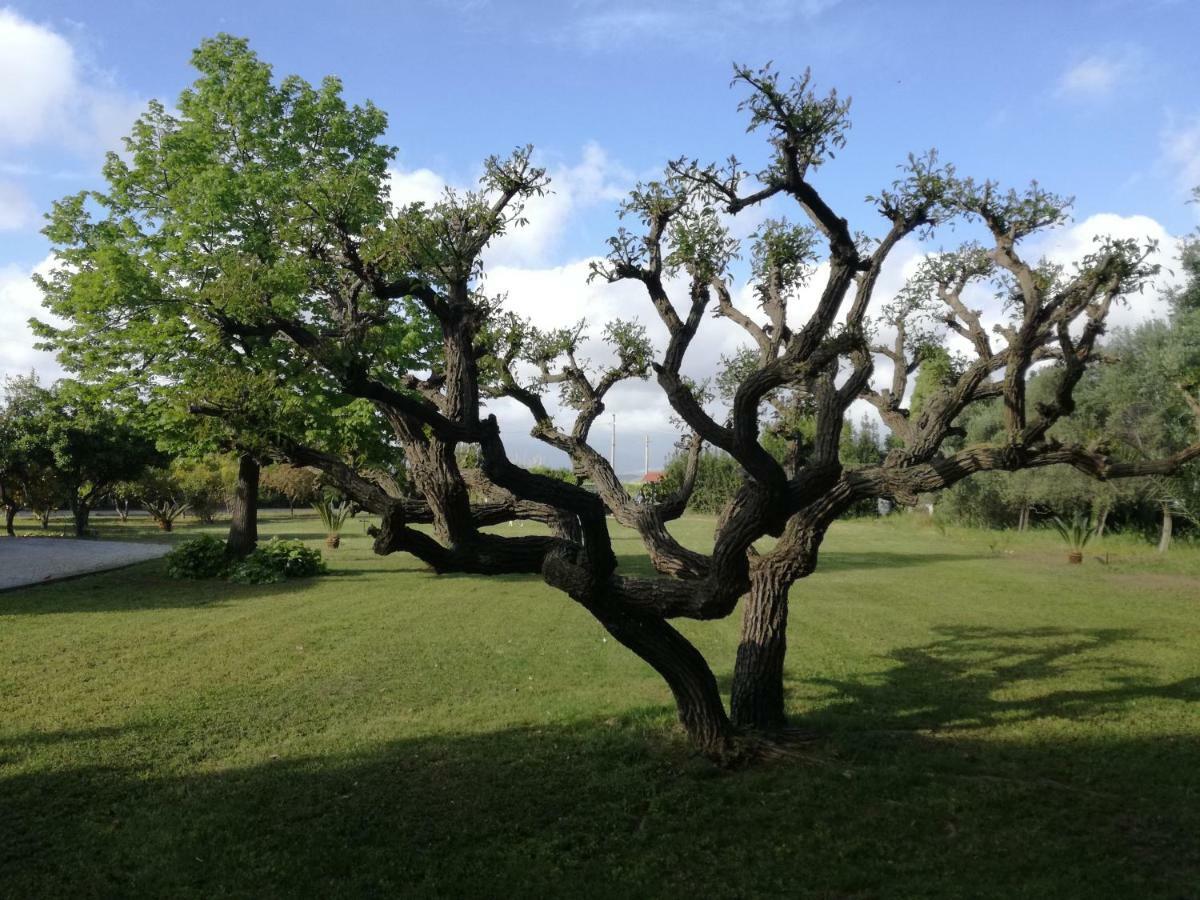 B&B Villa Napoli Battipaglia Eksteriør billede