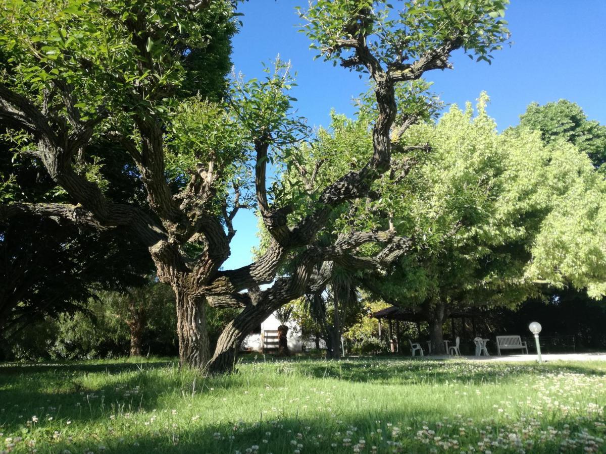 B&B Villa Napoli Battipaglia Eksteriør billede